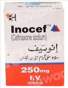 Picture of Inocef 250mg Inj